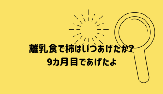 離乳食 9カ月【秋 柿】　